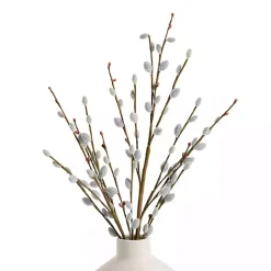 Best Willow Stems, Set of 3 Stems & Bouquets