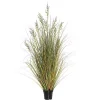 Clearance Green and Brown Potted Grass, 36 in. Trees & Topiaries