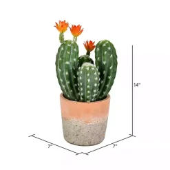 Clearance Cactus in Clay Pot, 14 in. Arrangements & Greenery