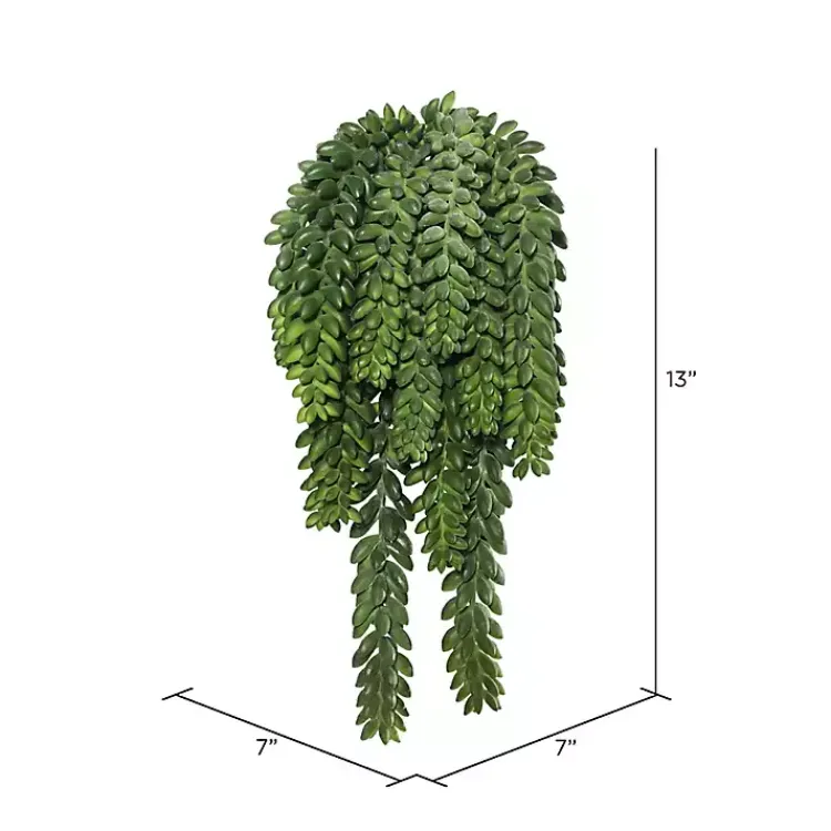Sale Green Donkey's Tail Bush Stems & Bouquets