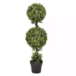 Green Double Ball Boxwood Potted Topiary Trees & Topiaries