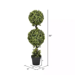 Green Double Ball Boxwood Potted Topiary Trees & Topiaries