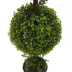 Green Double Ball Boxwood Potted Topiary Trees & Topiaries