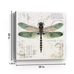 Kirklands Home Canvas Art|Green Dragonfly Canvas Art Print