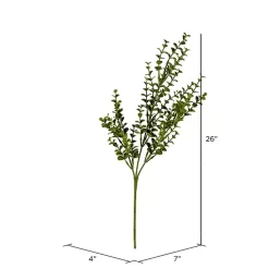 Clearance Eucalyptus Bushes, Set of 4 Stems & Bouquets