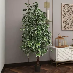 Discount Green Ficus Potted Tree, 73 in. Trees & Topiaries