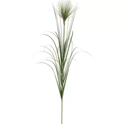 Grass Spray Stems, Set of 6 Stems & Bouquets