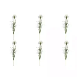 Grass Spray Stems, Set of 6 Stems & Bouquets