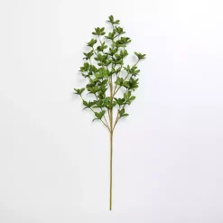 Sale Leaves Stem Stems & Bouquets