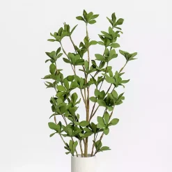 Sale Leaves Stem Stems & Bouquets