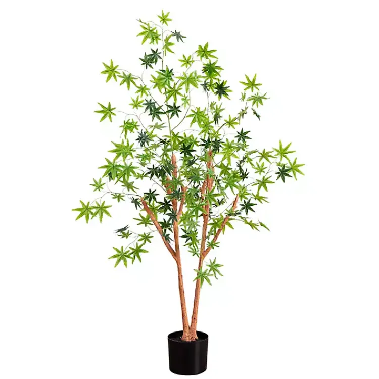Green Maple Tree in Black Planter Trees & Topiaries