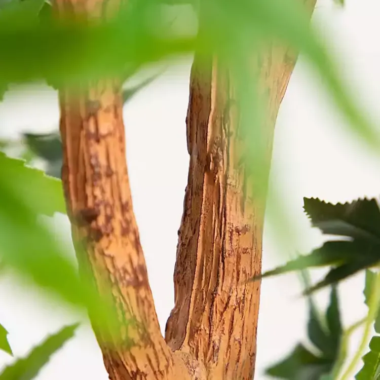Green Maple Tree in Black Planter Trees & Topiaries