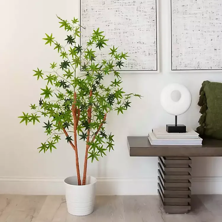 Green Maple Tree in Black Planter Trees & Topiaries