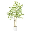 Discount Green Maple Tree in White Planter Trees & Topiaries