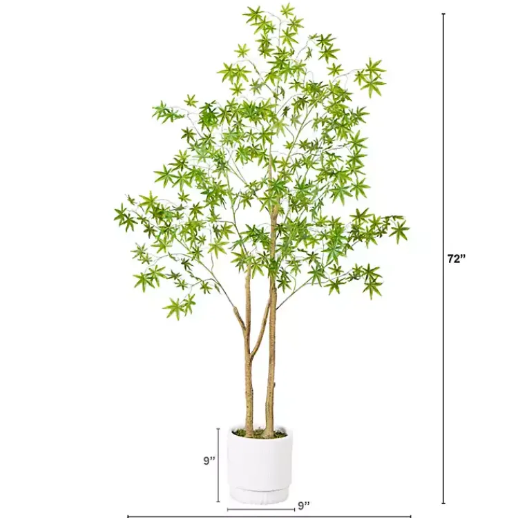Discount Green Maple Tree in White Planter Trees & Topiaries