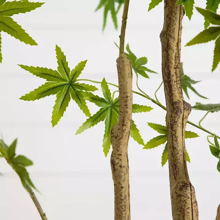 Discount Green Maple Tree in White Planter Trees & Topiaries