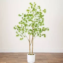Discount Green Maple Tree in White Planter Trees & Topiaries