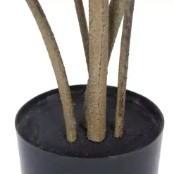 Online Green Potted Cotinus Coggygria Tree, 4 ft. Trees & Topiaries