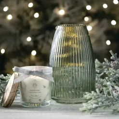 Best Round Ribbed Glass Vase Vases