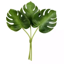 Online Split Philodendron Leaf Bundles, Set of 2 Stems & Bouquets