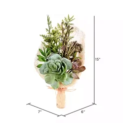 Discount Succulent Bouquet, 15 in. Stems & Bouquets