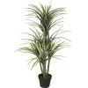 Online Green Yucca Tree in Black Planter Trees & Topiaries