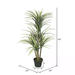 Online Green Yucca Tree in Black Planter Trees & Topiaries