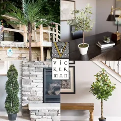 Online Green Yucca Tree in Black Planter Trees & Topiaries