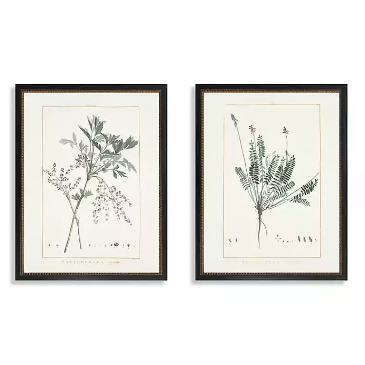 Kirklands Home Framed Art|Greenery I Framed Art Prints, Set of 2 Ivory