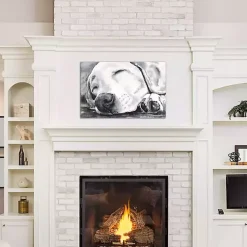 Kirklands Home Canvas Art|Happy Dreams Dog Giclee Canvas Art Print, 26x18 Gray