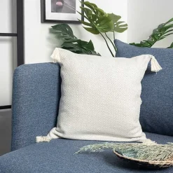 Hot Harbor Chevron Organic Cotton Throw Pillow Pillows