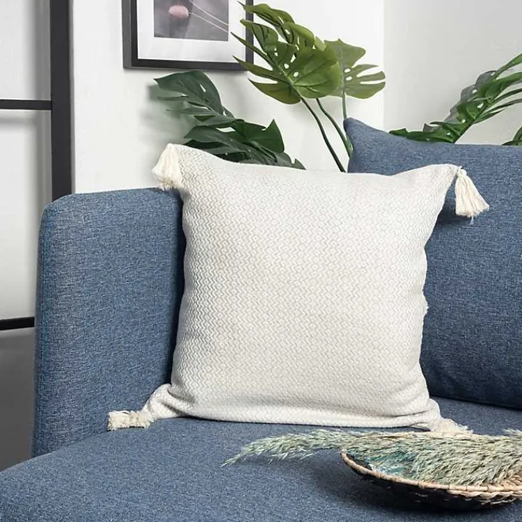 Hot Harbor Chevron Organic Cotton Throw Pillow Pillows