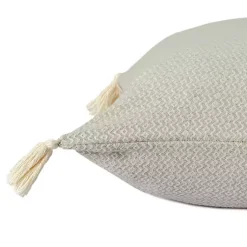 Hot Harbor Chevron Organic Cotton Throw Pillow Pillows