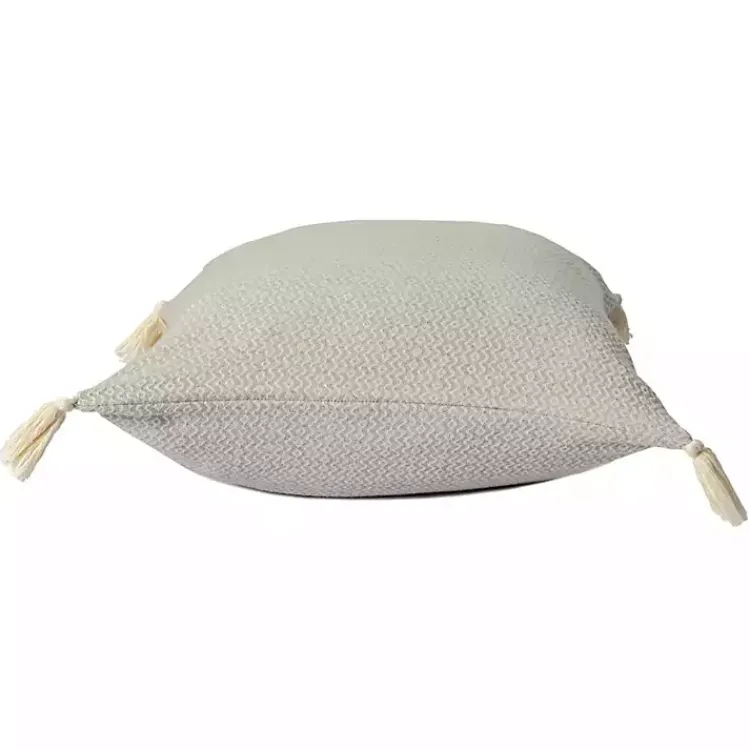 Hot Harbor Chevron Organic Cotton Throw Pillow Pillows