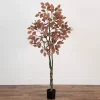 Outlet Harvest Dogwood Tree in Nursery Planter, 6 ft. Trees & Topiaries