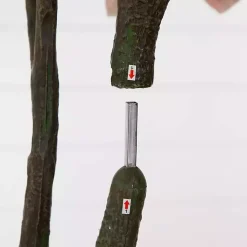 Outlet Harvest Dogwood Tree in Nursery Planter, 6 ft. Trees & Topiaries