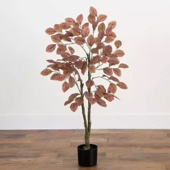 Discount Harvest Dogwood Tree in Nursery Planter, 3.5 ft. Trees & Topiaries