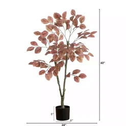 Discount Harvest Dogwood Tree in Nursery Planter, 3.5 ft. Trees & Topiaries