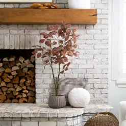 Discount Harvest Dogwood Tree in Nursery Planter, 3.5 ft. Trees & Topiaries