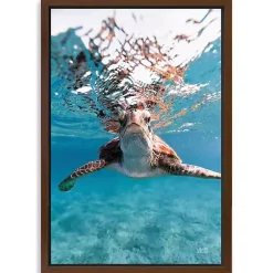 Kirklands Home Canvas Art|Hello Turtle Framed Canvas Art Print