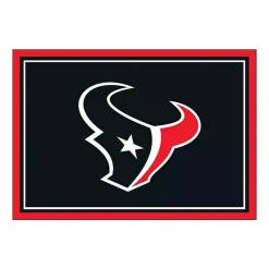 Kirklands Home Area Rugs|Houston Texas Area Rug, 4x6 Black