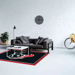 Kirklands Home Area Rugs|Houston Texas Area Rug, 4x6 Black