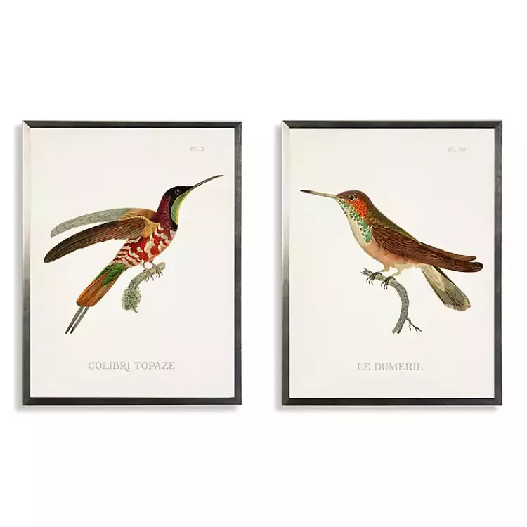 Kirklands Home Framed Art|Hummingbirds I Framed Art Prints, Set of 2 Multi