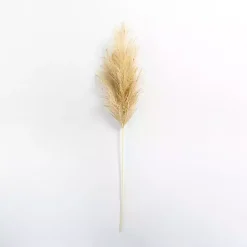 New Iced Natural Pampas Grass Stem Christmas Arrangements & Garland