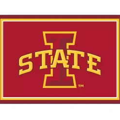 Kirklands Home Area Rugs|Iowa State University Area Rug, 3x4
