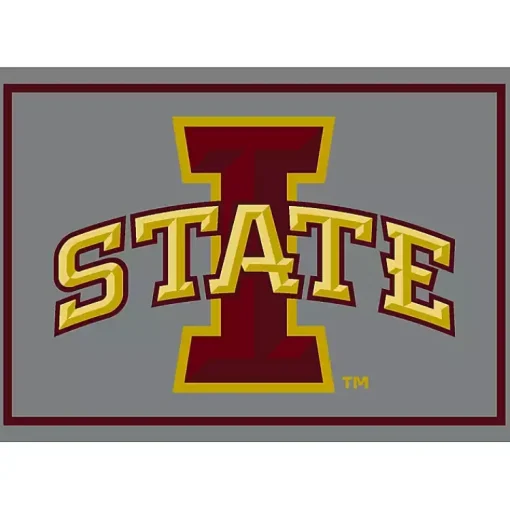 Kirklands Home Area Rugs|Iowa State University Area Rug, 4x6