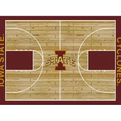 Kirklands Home Area Rugs|Iowa State University Courtside Area Rug, 4x6