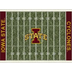 Kirklands Home Area Rugs|Iowa State University Homefield Area Rug, 6x8