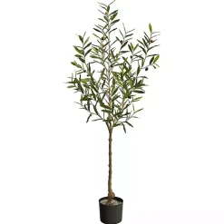 Sale Italian Olive Tree in Black Nursery Planter, 5 ft. Trees & Topiaries
