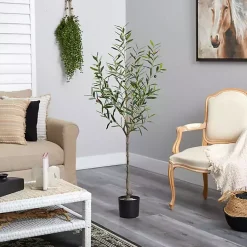 Sale Italian Olive Tree in Black Nursery Planter, 5 ft. Trees & Topiaries